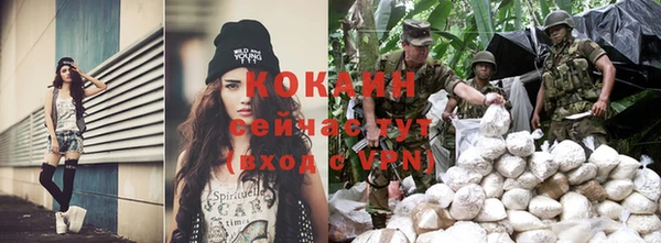 apvp Нея
