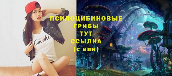 ГАЛЛЮЦИНОГЕННЫЕ ГРИБЫ Нефтегорск
